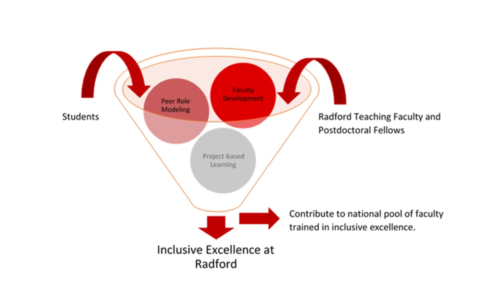 REALISE teaching graphic for inclusive excellence.  The graphic shows students, faculty development, Radford Teaching Faculty and Postdoctoral Fellows, and project based learning all going into a funnel.  Coming out of the funnel is Inclusive Excellence and contributing to a national pool of faculty trained in inclusive excellence.