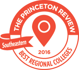 Princeton Review regional badge