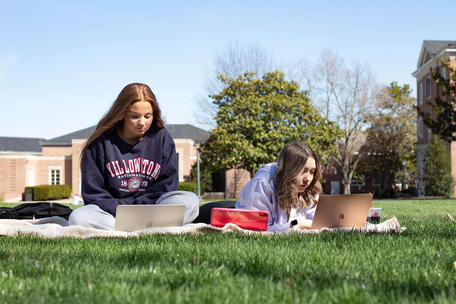 students on lawn on laptops