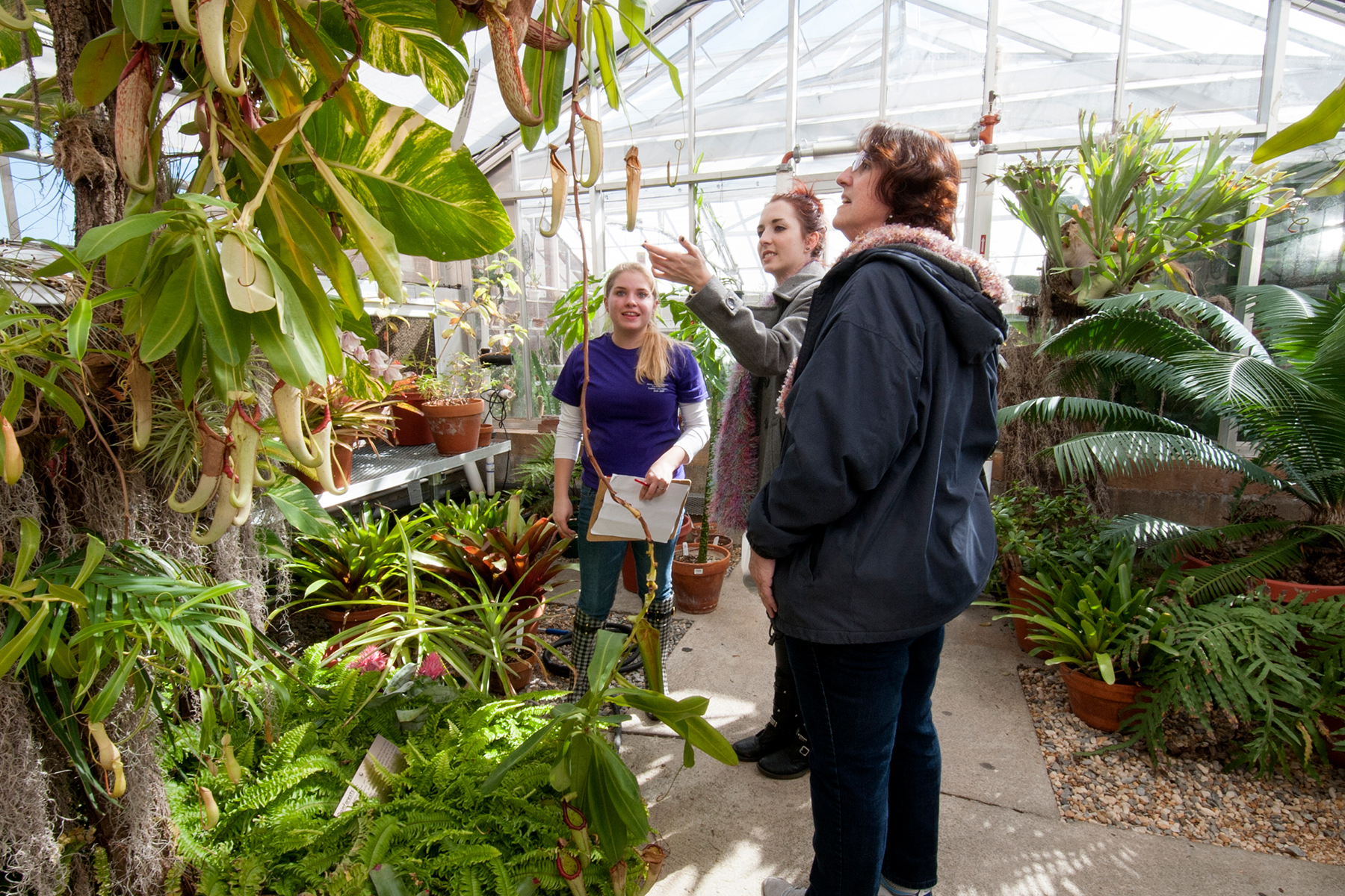 greenhouse