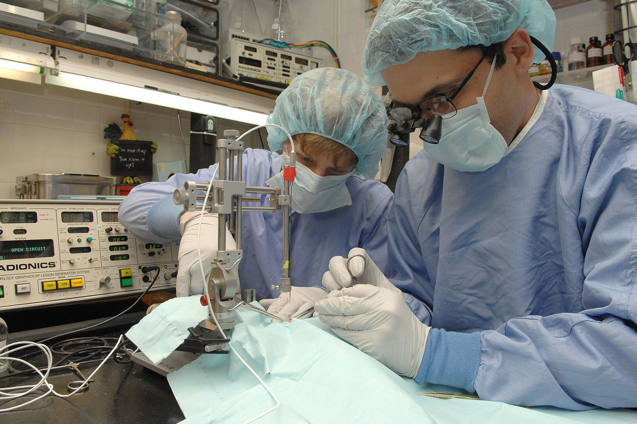 science students in lab