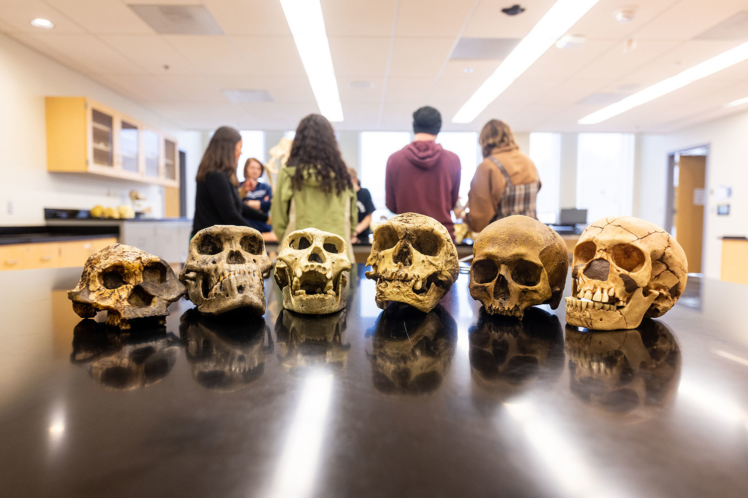 group of anthropology students in lab