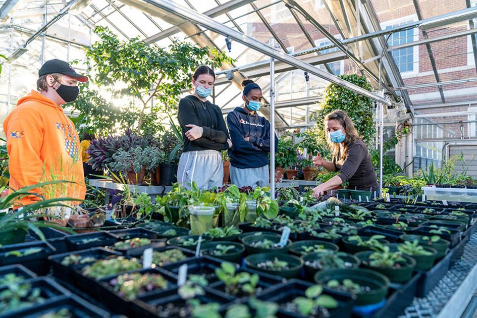 students in greenhouse